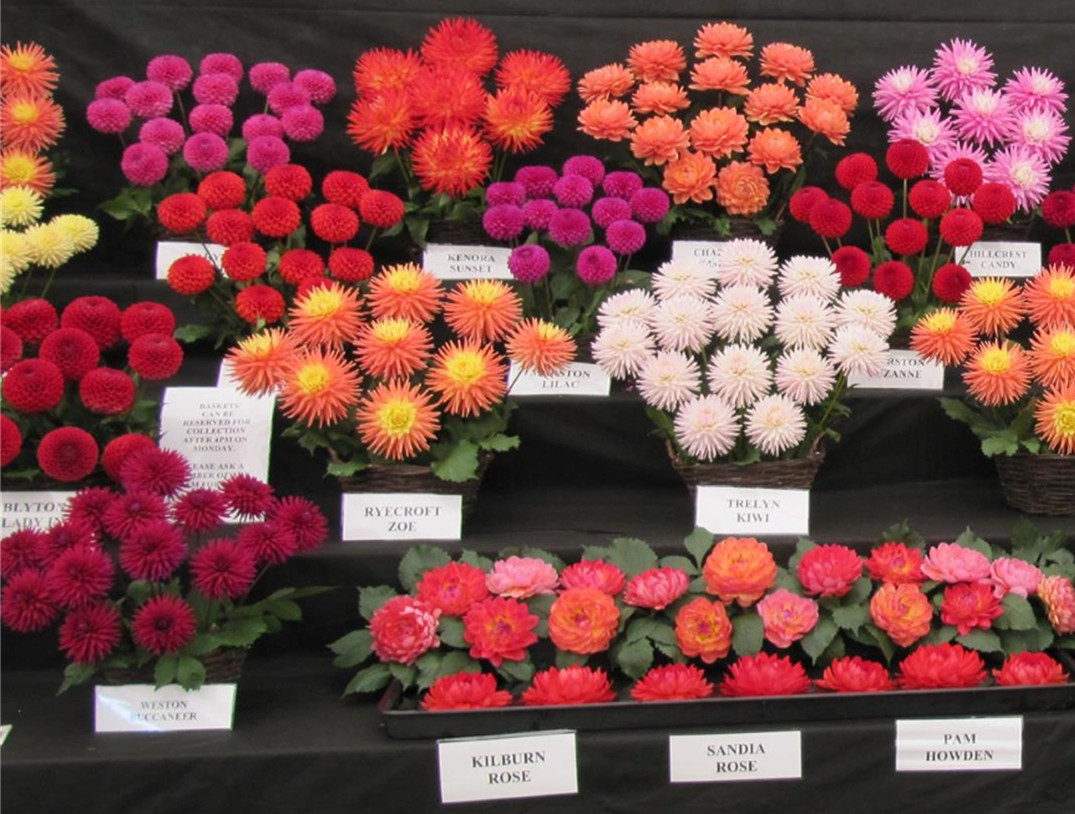 First Wednesday Talk - My Gardening Year