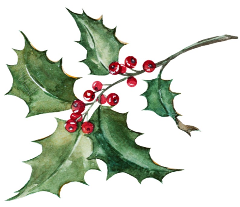 Commodore's Christmas Drinks & Lunch