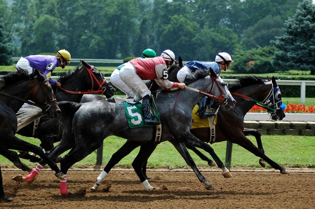 A Day at the Races - Cancelled