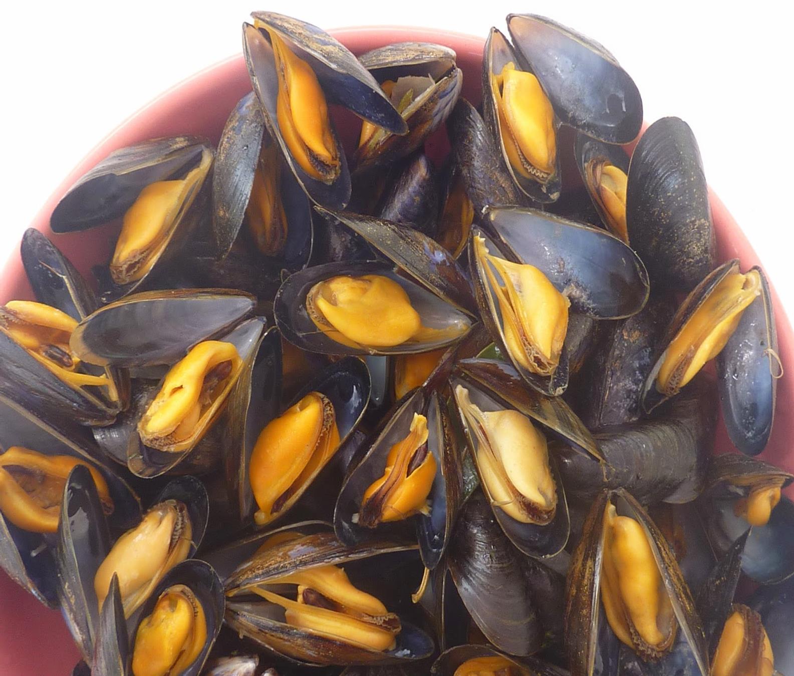 Moules Night