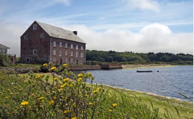 Birds of the West Wight Talk