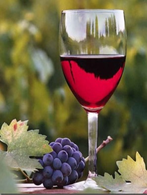 Wine Society