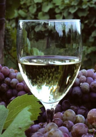 Wine Society