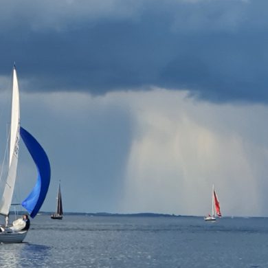 Spence Willard WER 19th May 2021